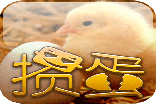 凤凰棋牌进阶攻略，新手变高手的致胜技巧