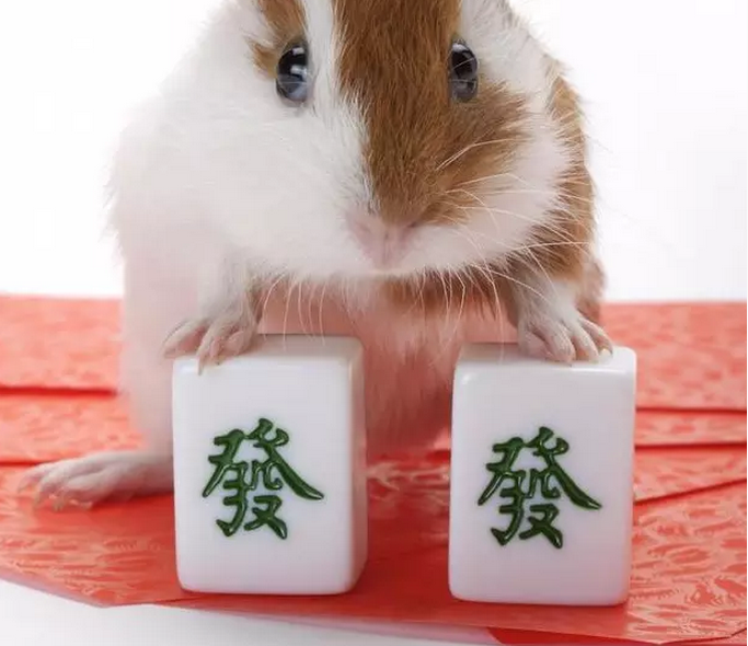 温州真人麻将手气口诀